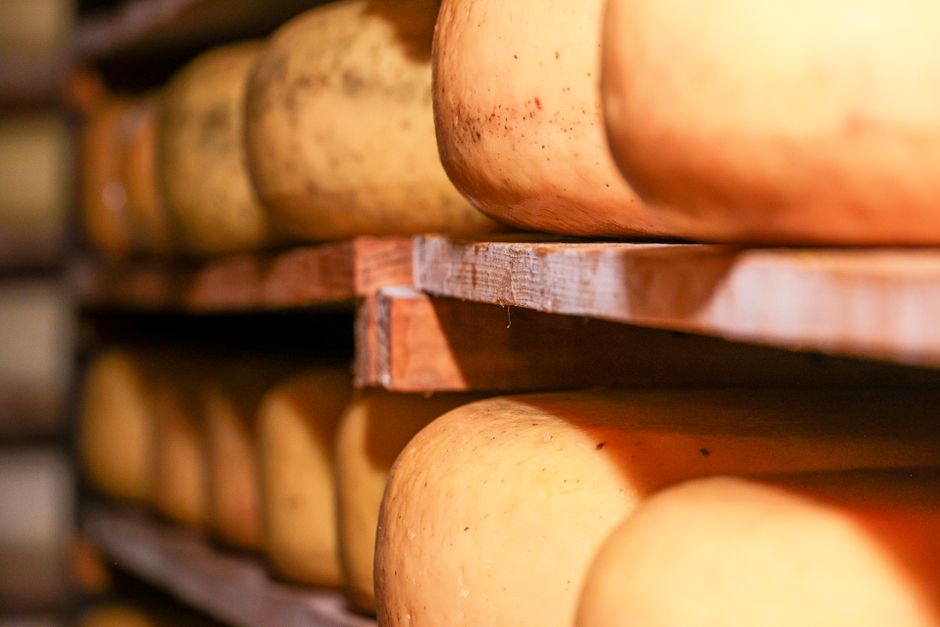 Традиционни млечни продукти